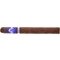 Thomas Timm Sylt Regent No. 753