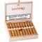 Villiger San Doro Claro Robusto Kiste offen