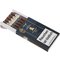 Davidoff Winston Churchill Limited Edition 2019 (Corona) offen
