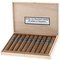 La Bavaria Die Bayerische Zigarre Toro (aus der Holzkiste) 10er offen