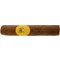 Costa Cigars Short Robusto