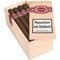 Cusano Nicaragua Churchill offen Detailbild