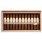 Cigarkings Petit Robusto Sun Grown Kiste offen
