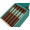 Robusto Maduro Detail