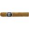 Secret Ashes Premium Robusto Serie-0006