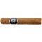 Secret Ashes Premium Serie-0009 Robusto Connecticut