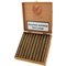 De Olifant Classic Corona Panatela Magnum Kiste offen