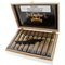 Exactus Clasico Robusto Kiste offen