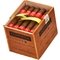 Condega Serie F Mini Robusto_Kiste