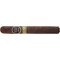 Crowned Heads Headley Grange Black Lab