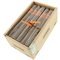 Crowned Heads Luminosa Churchill Kiste offen