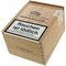 Mythos Solitude Robusto Jr. Kiste