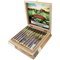 San Jeronimo Classic Churchill Kiste offen