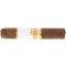 Exactus Puro Ambar Legacy Short Robusto