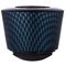 Falcon Pfeife Kopf Algiers (355800)