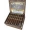 Alec Bradley Magic Toast Robusto Kiste offen
