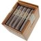 Cornelius & Anthony Daddy Mac Robusto Kiste offen