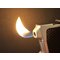 Ruben schwarz chrom Flamme