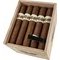 Akra Angel 1899 Robusto (5x50) Kiste offen