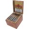 Victor Calvo Nicaragua Sun Grown Gran Robusto Kiste offen