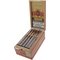 Victor Calvo Nicaragua Sun Grown Lancero Kiste offen