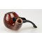  Sara Eltang Bent Brandy (Interne Nr.16756) offen