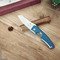 Les Fines Lames Le Petit Zigarrenmesser composite micarta blue Stimmungsbild 1