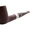 Peterson Irish Harp Modell X105 (16971)_05
