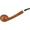Flammata longue Shank Tomato (Interne Nr.16)