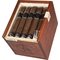 F1 (Robusto) Kiste offen