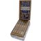 Guillermo Rico Blue in Green Churchill (7x48) Kiste offen