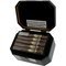 Guillermo Rico Black Dahlia Corona Gorda (5.625x46) Kiste offen