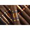 Casa Culinaria Esteli Robusto Detailbild