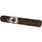 Morado Robusto Stick 2