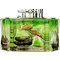 Aquarium Fish Green *