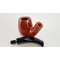 Brebbia Pipe republic Natura 6002