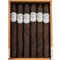 Crowned Heads Le Careme Hermoso No. 1 Kiste offen 3