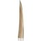 Horn Modell 2