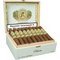 Robusto Kiste offen