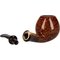 Snail Modell 21_05