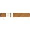 Robusto