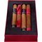 Sampler Robusto Toro 4er