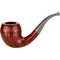 Small Rhodesian glatt braun