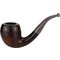 Small Rhodesian glatt dunkelbraun
