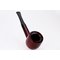 Nr. 31016 Old Root (1501)_04