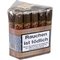 Rudus Robusto Bundle 2