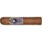 Epicurist Petit Robusto