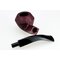 Nr. 17007 rot Rhodesian_05