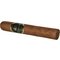 Alfambra Boutique G Robusto