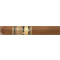 Saga Solaz Robusto